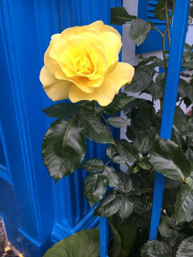 Saint Helier Jersey Avoca Villa Guest House מראה חיצוני תמונה